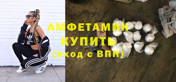 метадон Алексин